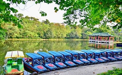 Yuexiu Park / 越秀公园