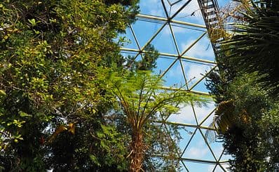 Botanical Garden of the University