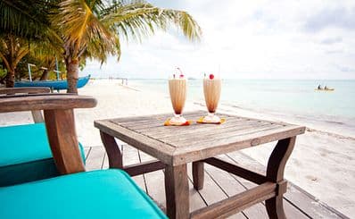 Vaani Coffee Shop (Nalaguraidhoo)