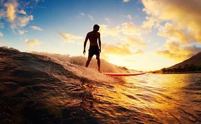 Homegrown Surfschool