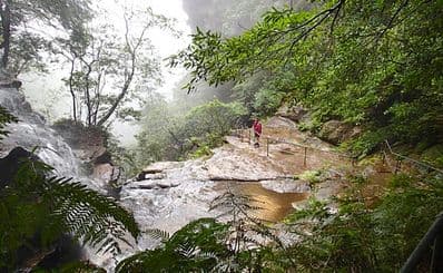 Blue Mountains National Pass