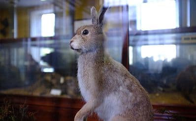 Estonian Museum of Natural History