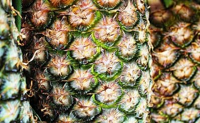 Pineapples