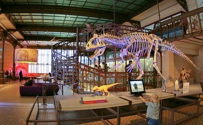 Royal Belgian Institute of Natural Sciences in Brussels