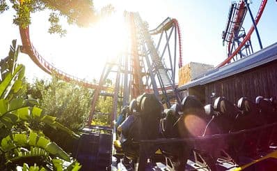Busch Gardens