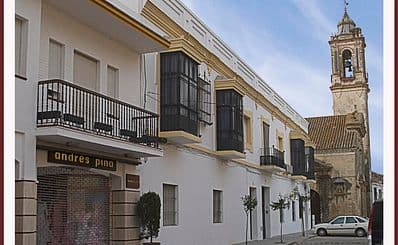 Main Avenue San Jerónimo