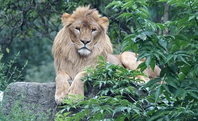 Warsaw Zoo