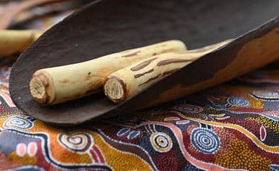 Museum & Art Gallery of the Northern Territory (MAGNT)