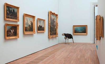 Musée d'arts de Nantes