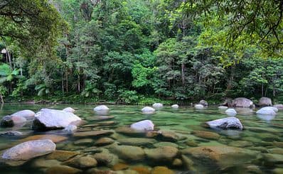 Mossman Gorge