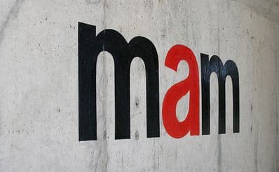 Museu de Arte Moderna de São Paulo (MAM)