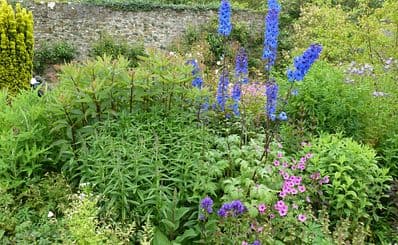 Salthill Gardens