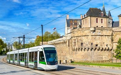 Public Transport