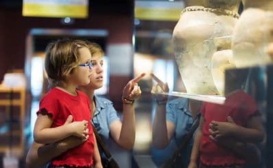 Icelandic Phallological Museum