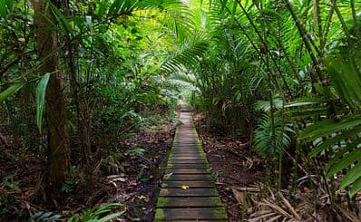 Morne Coubaril Historical Adventure Park