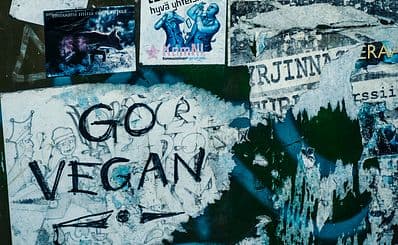 Rotown / De Vegan Snackbar
