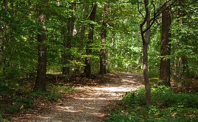 Historical - Educational Trail Kamenjak