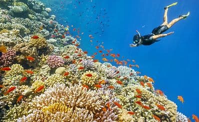 Snorkelling