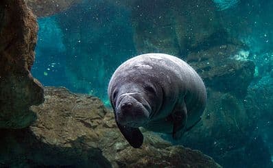 Marine Discovery Center