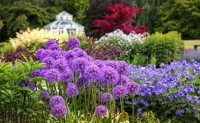 Gothenburg Botanical Garden