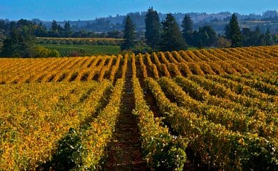 Pride n' Vino — formerly Pinot On The River (October)