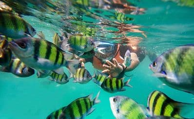 Two Steps Snorkeling