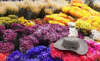 Best Time to Visit Bogota