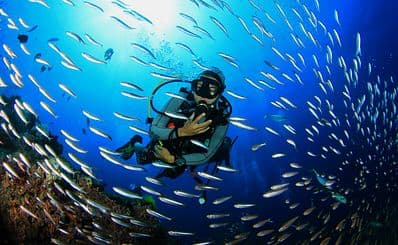 Scuba Diving & Snorkeling Tour