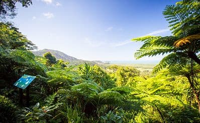 Treetops Adventure in Cape Tribulation