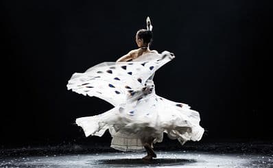 Dynamic Yunnan Dance Show