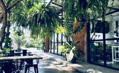 Café Botanica