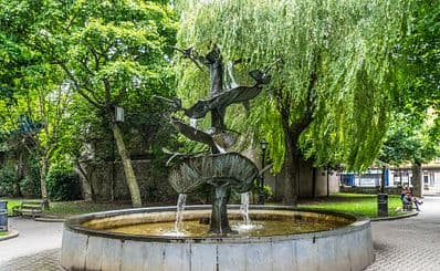 Bishop Lucey Park