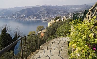 Hiking Trails