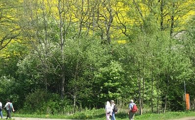 Hallandsås