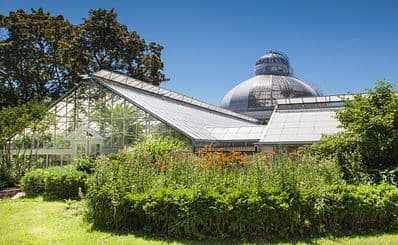 Allan Gardens Conservatory