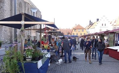 Visbydagen (The Visby day)