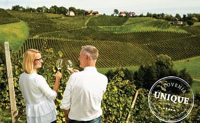 Big guy`s wine highlights with the World`s Oldest Vine
