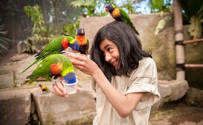 ZOO Planckendael