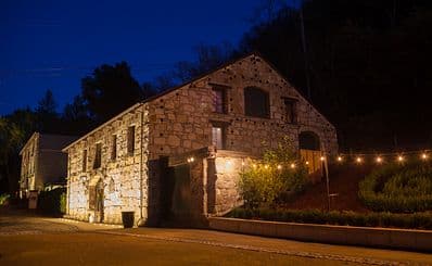 Buena Vista Winery