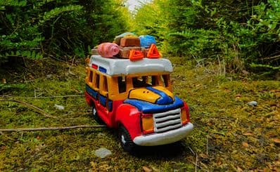 Public Transport