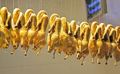 Han Fu Xing Salted Duck / 韩复兴盐水鸭