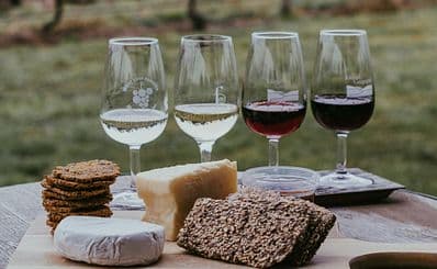 Book a Wine Tasting Tour