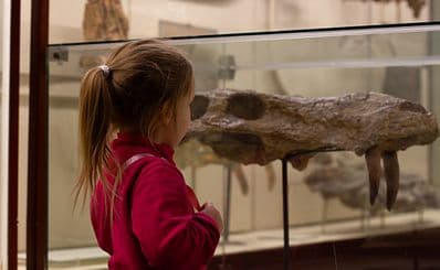 Natural History Museum