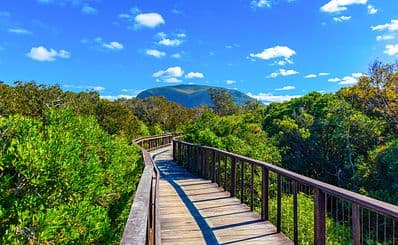 Mount Coolum National Park