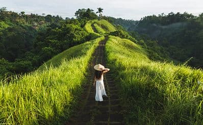 Campuhan Ridge Walk