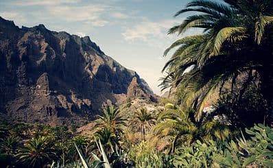 Teno Rural Park