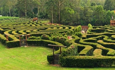 Bago Maze & Winery