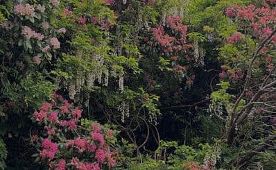 Spohr Gardens