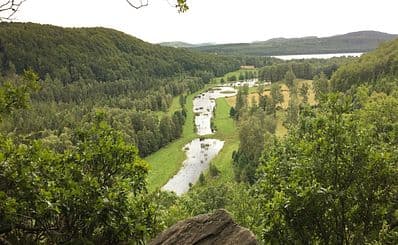 Åkulla Beech Forests