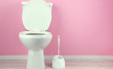 Sulabh International Museum of Toilets